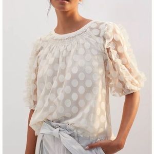 Anthropologie Sheer Ruffle Blouse NWT